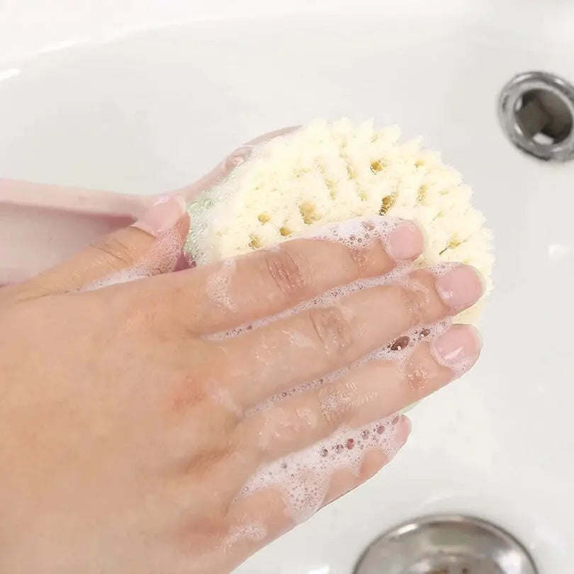 Eco Friendly Bath Brush MyGadgets411