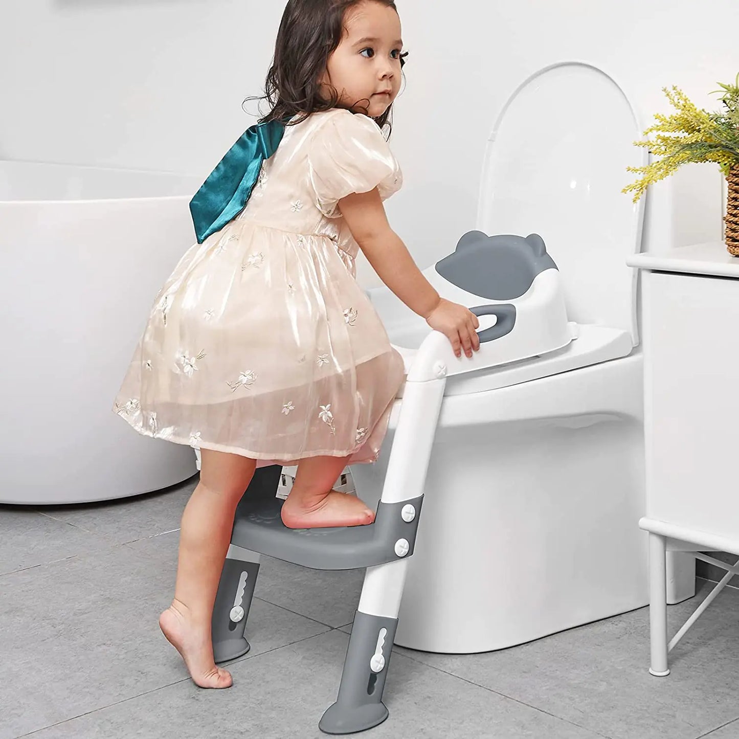 Potty Training Ladder Seat