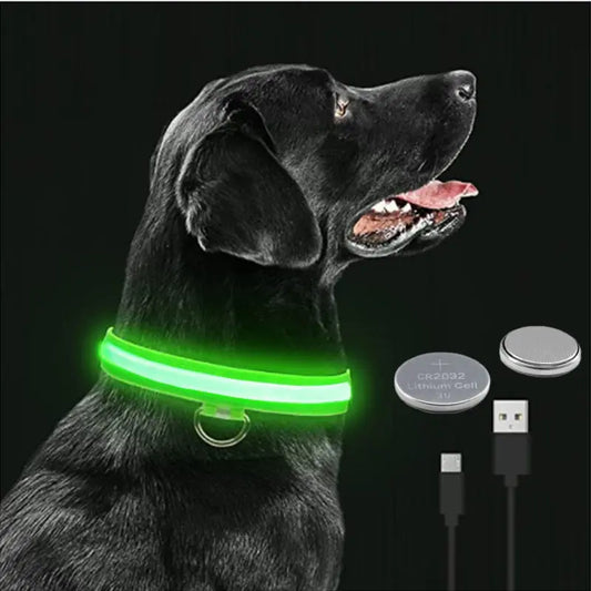 Glowing Dog Collar MyGadgets411